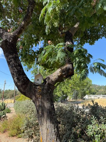 1026 Coyote Creek Rd, Murphys, CA 95247