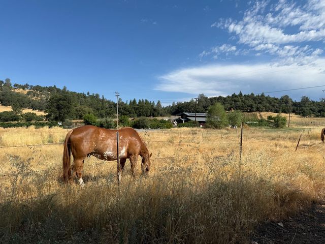 1026 Coyote Creek Rd, Murphys, CA 95247