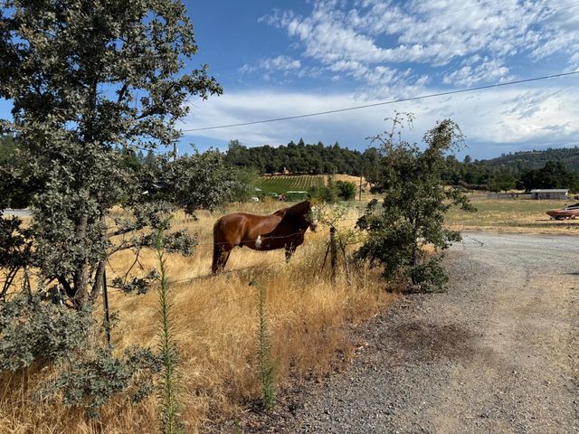 1026 Coyote Creek Rd, Murphys, CA 95247