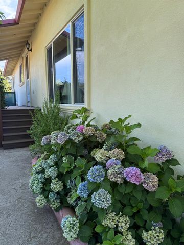 1026 Coyote Creek Rd, Murphys, CA 95247