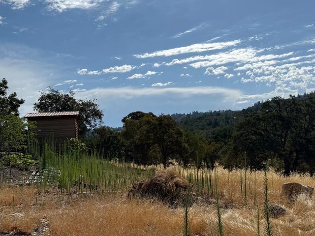1026 Coyote Creek Rd, Murphys, CA 95247