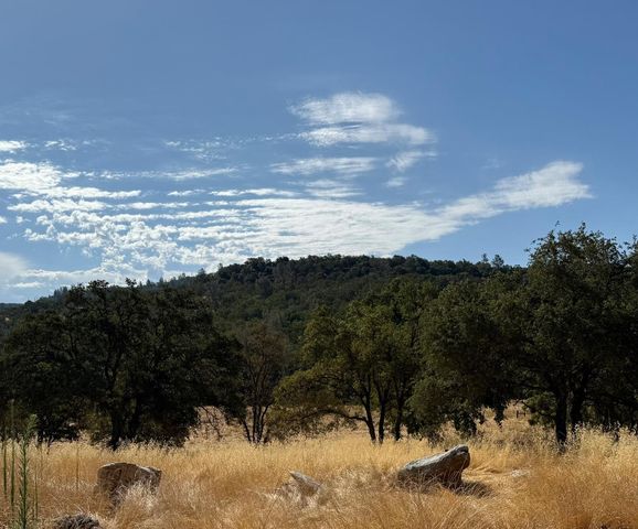 1026 Coyote Creek Rd, Murphys, CA 95247