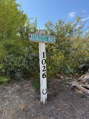 1026 Coyote Creek Rd, Murphys, CA 95247