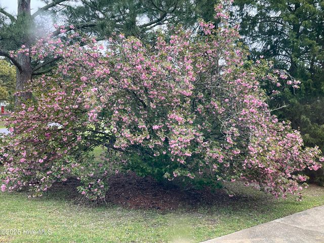 100 Louis Street, Greenville, NC 27858