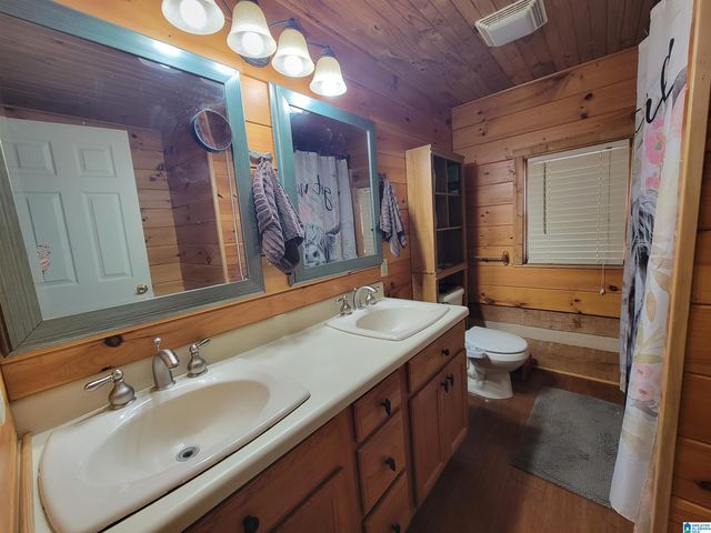 3156 LOUINA ROAD, Roanoke, AL 36274