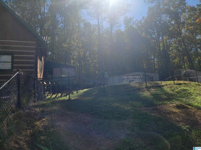 3156 LOUINA ROAD, Roanoke, AL 36274