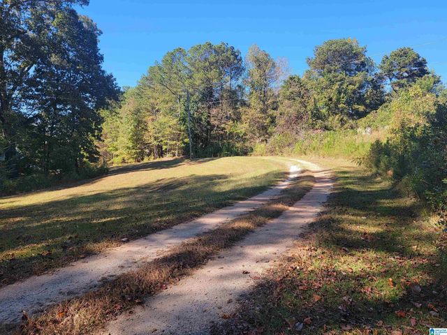 3156 LOUINA ROAD, Roanoke, AL 36274