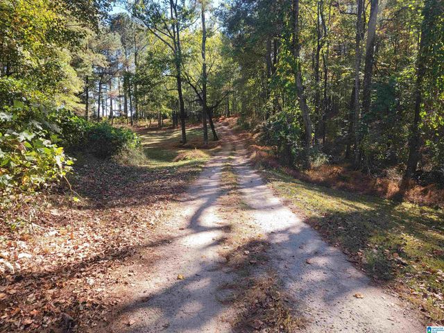 3156 LOUINA ROAD, Roanoke, AL 36274