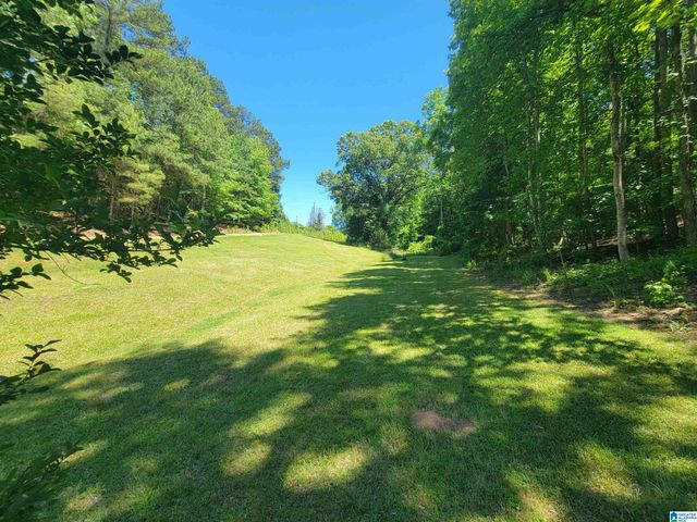3156 LOUINA ROAD, Roanoke, AL 36274