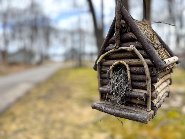 10532 Jurgen Nash Drive, Garrison, MN 56450