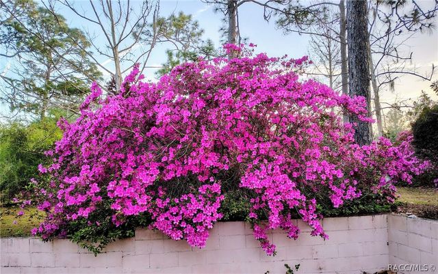 9520 N Holyoak Terrace, Dunnellon, FL 34433