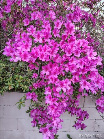 9520 N Holyoak Terrace, Dunnellon, FL 34433