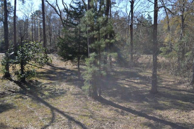 000 Central Drive, Coldspring, TX 77331