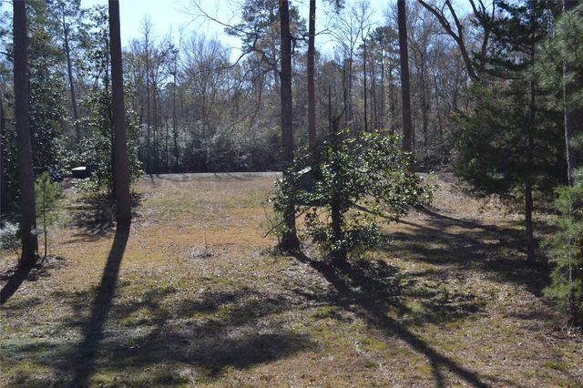 000 Central Drive, Coldspring, TX 77331