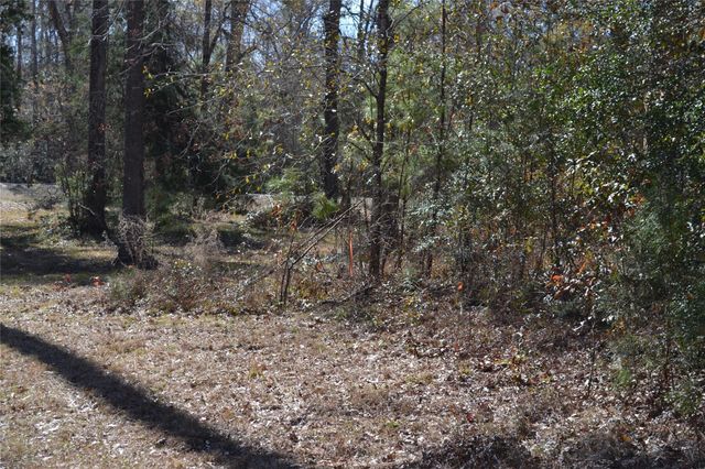 000 Central Drive, Coldspring, TX 77331