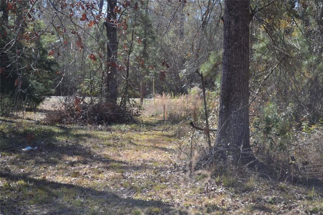 000 Central Drive, Coldspring, TX 77331