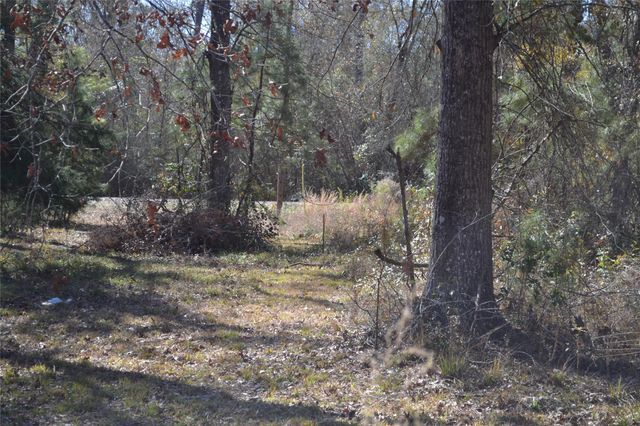 000 Central Drive, Coldspring, TX 77331