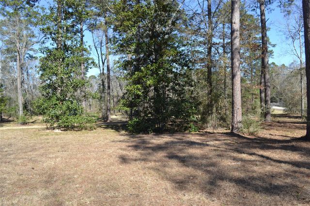 000 Central Drive, Coldspring, TX 77331