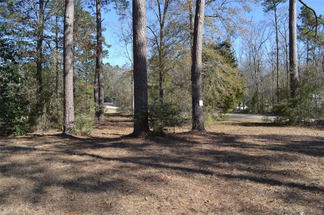 000 Central Drive, Coldspring, TX 77331
