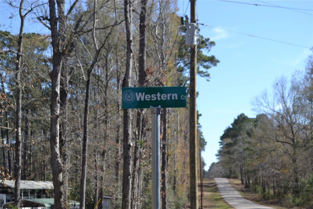 000 Central Drive, Coldspring, TX 77331