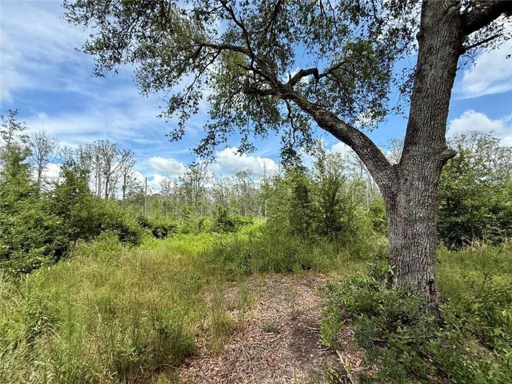 0 Christian Acres Road, Grand Bay, AL 36541 — exterior