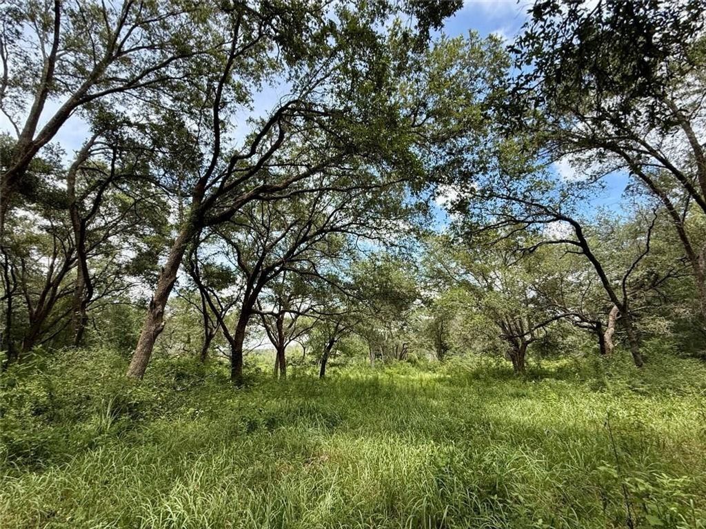 0 Christian Acres Road, Grand Bay, AL 36541 — photo 2