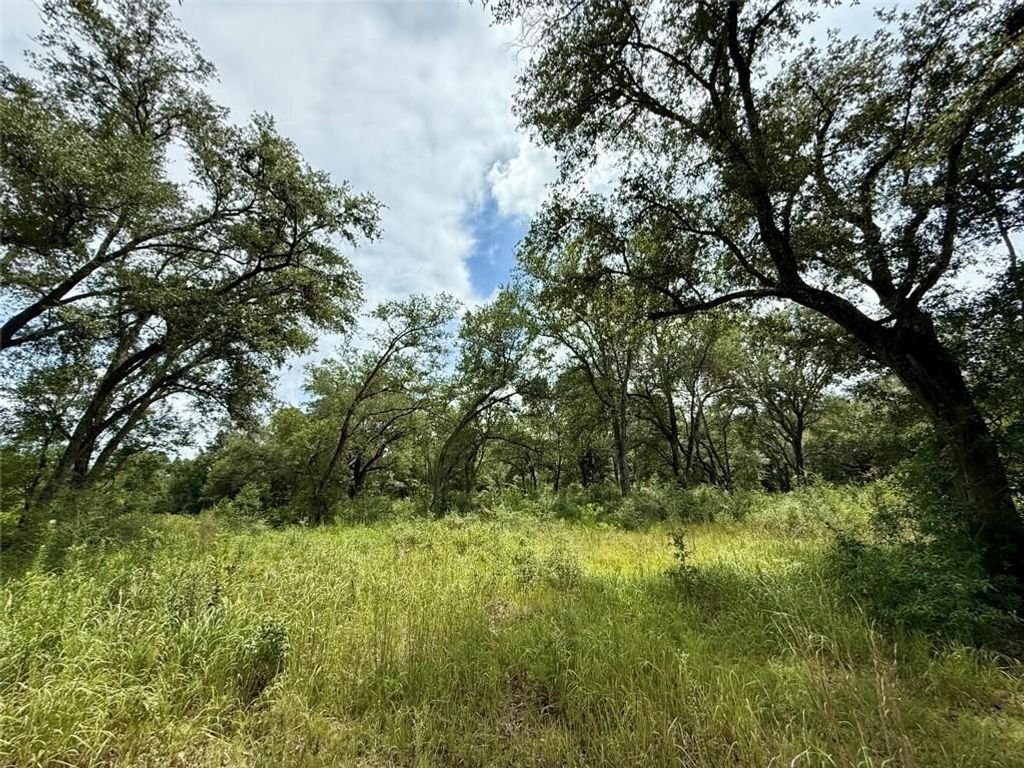 0 Christian Acres Road, Grand Bay, AL 36541 — photo 3