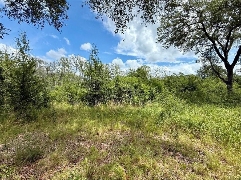 0 Christian Acres Road, Grand Bay, AL 36541 — photo 4