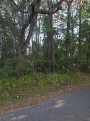 0 BETHUNE STREET, Brooksville, FL 34601