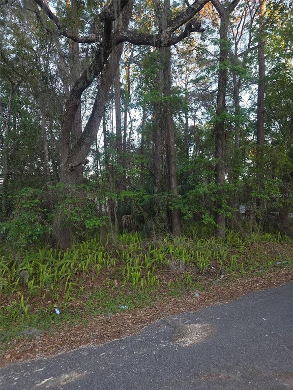 0 BETHUNE STREET, Brooksville, FL 34601