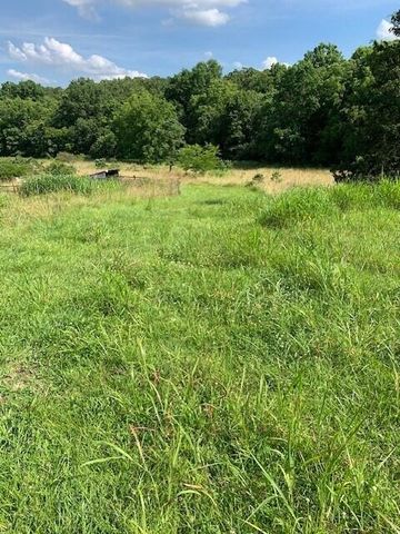 28 Danbury Lane, Elkland, MO 65644