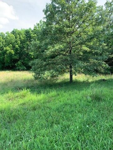 28 Danbury Lane, Elkland, MO 65644