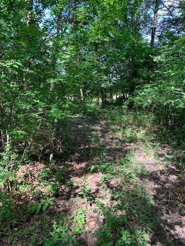 28 Danbury Lane, Elkland, MO 65644