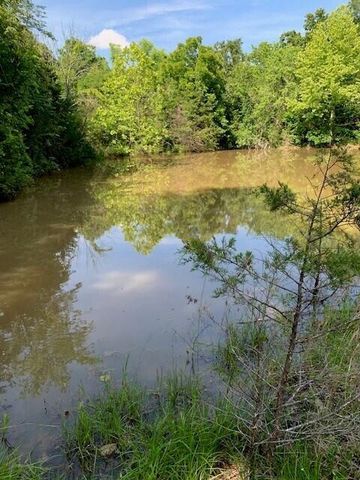 28 Danbury Lane, Elkland, MO 65644