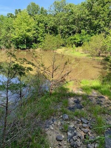 28 Danbury Lane, Elkland, MO 65644