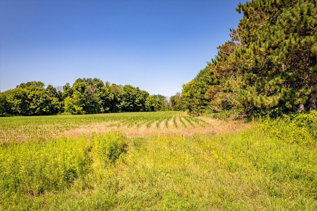 XXX Sugarbush Road, Nowthen, MN 55330 — photo 3