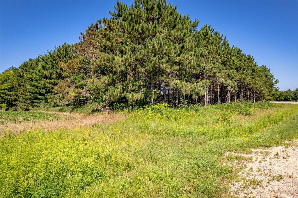 XXX Sugarbush Road, Nowthen, MN 55330 — photo 4