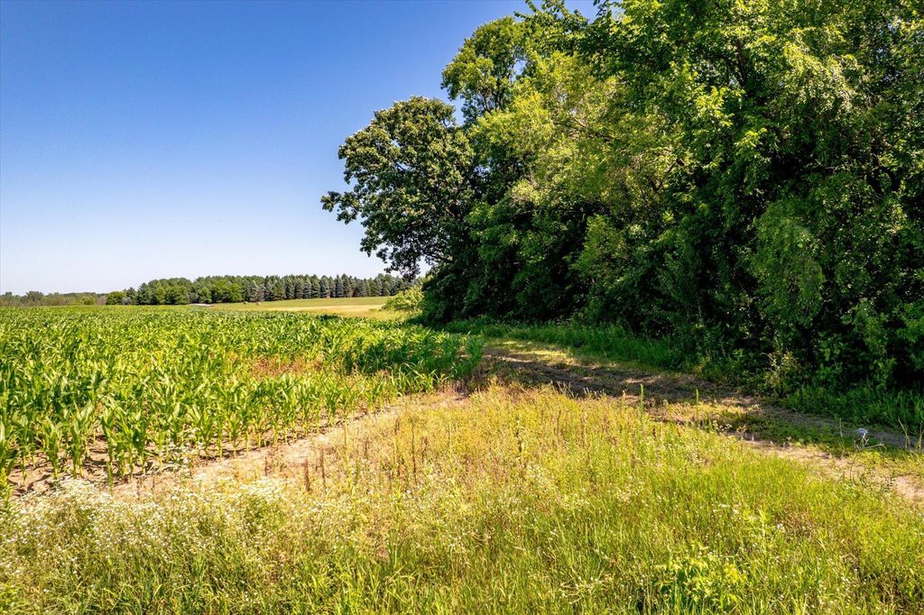 XXX Sugarbush Road, Nowthen, MN 55330 — photo 5