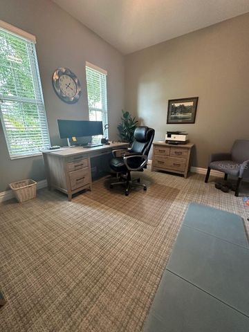 6911 PARK STRAND DRIVE, Apollo Beach, FL 33572