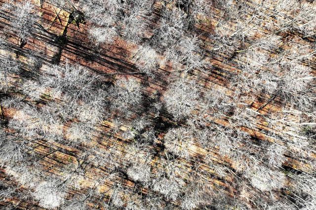 430 Rebecca Ln Lot 3 Lowr, Killington, VT 05751