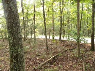01 Johnson Lp Road, Pikeville, TN 37367