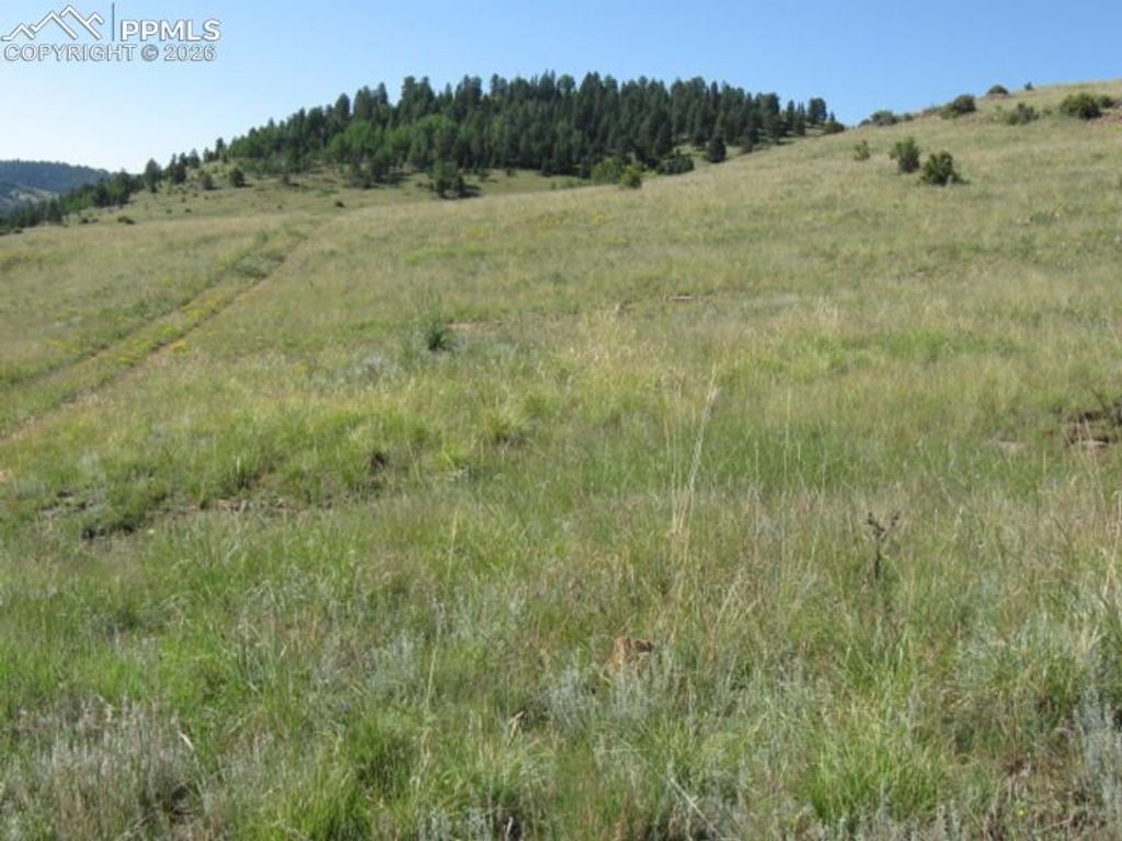 Lot 1-2 Shideler Avenue, Cripple Creek, CO 80813