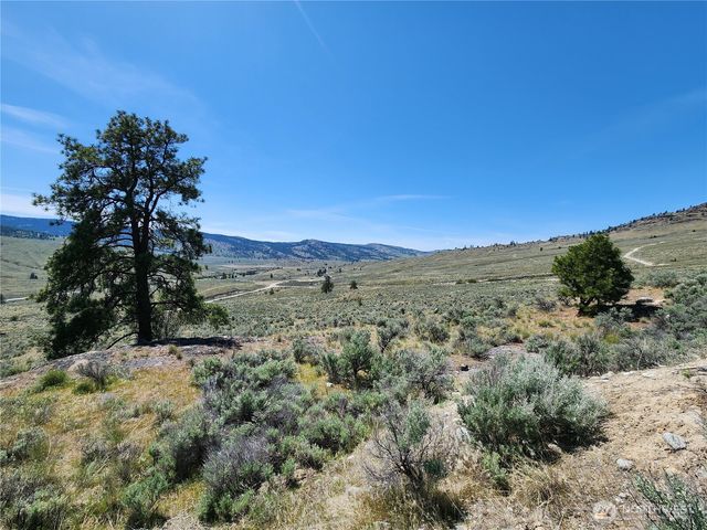 0 Morning Sun Road, Tonasket, WA 98855