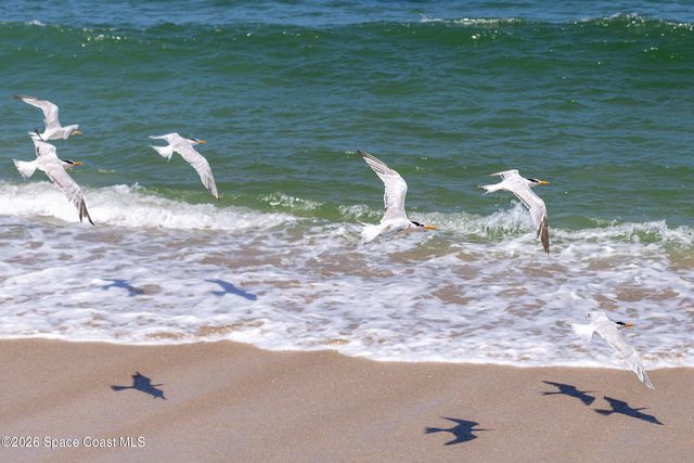 7354 S Hwy A1a, Melbourne Beach, FL 32951