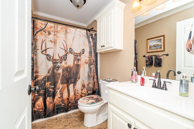 253 Whitetail Ln, Monticello, AR 71655