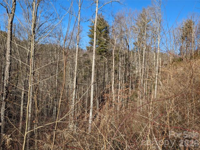 27 Bent Branch Lane 10, Asheville, NC 28804