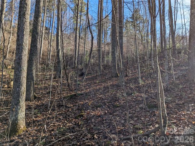 27 Bent Branch Lane 10, Asheville, NC 28804