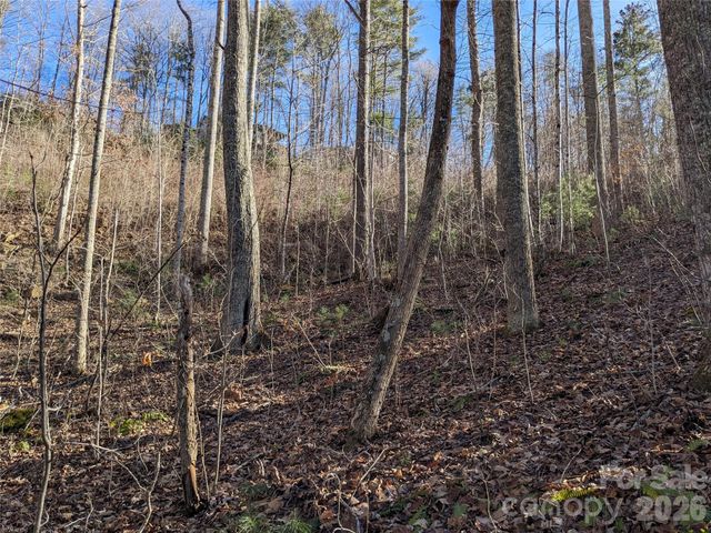 27 Bent Branch Lane 10, Asheville, NC 28804