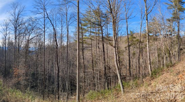 27 Bent Branch Lane 10, Asheville, NC 28804