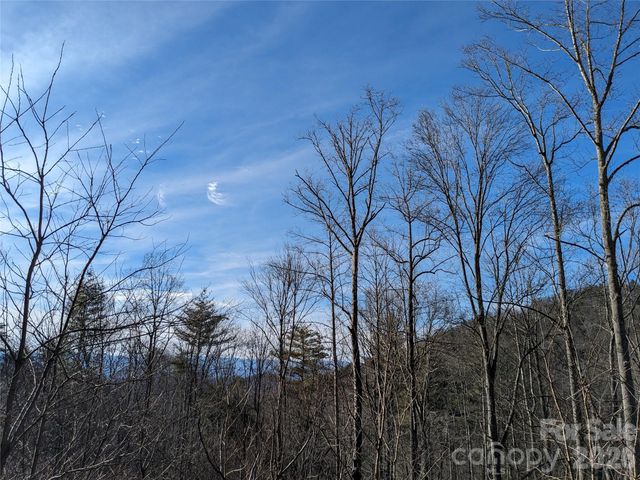 27 Bent Branch Lane 10, Asheville, NC 28804